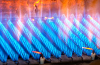 Strete Ralegh gas fired boilers